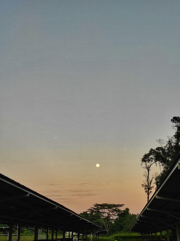 Moon in the early morning hours